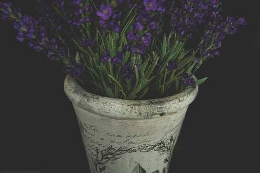 Ceramic Medium Rim French Vase - LYKTA