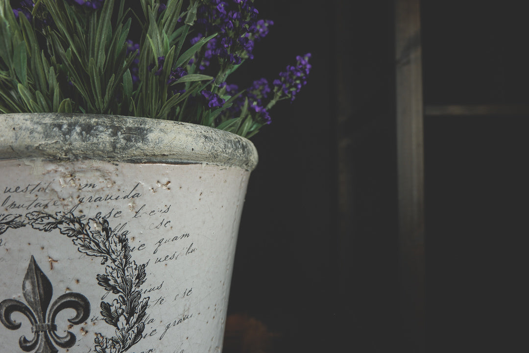 Ceramic Wide Rim French Vase - LYKTA
