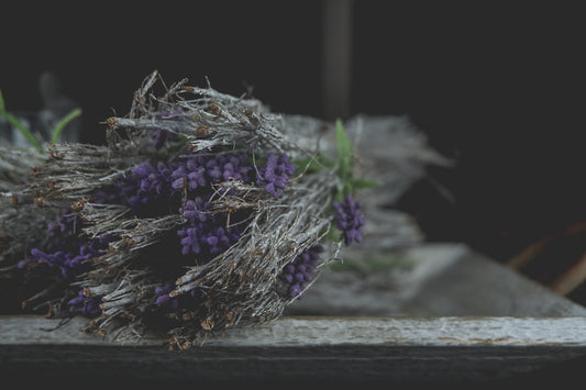 Dry Lavender Bunch - LYKTA