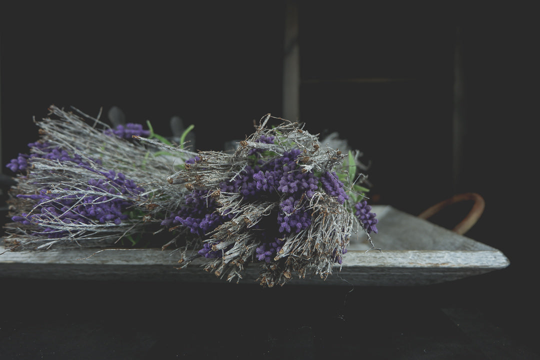 Dry Lavender Bunch - LYKTA