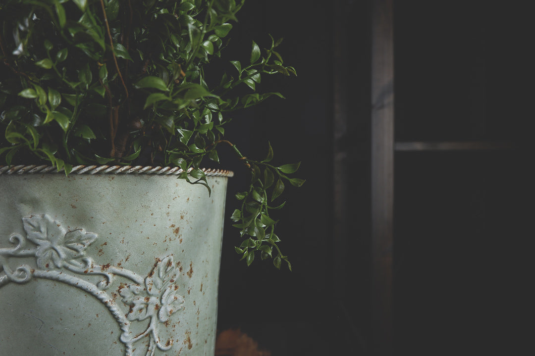 Rustic Metal Provence Green Planter - LYKTA