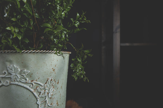 Rustic Metal Provence Green Planter - LYKTA